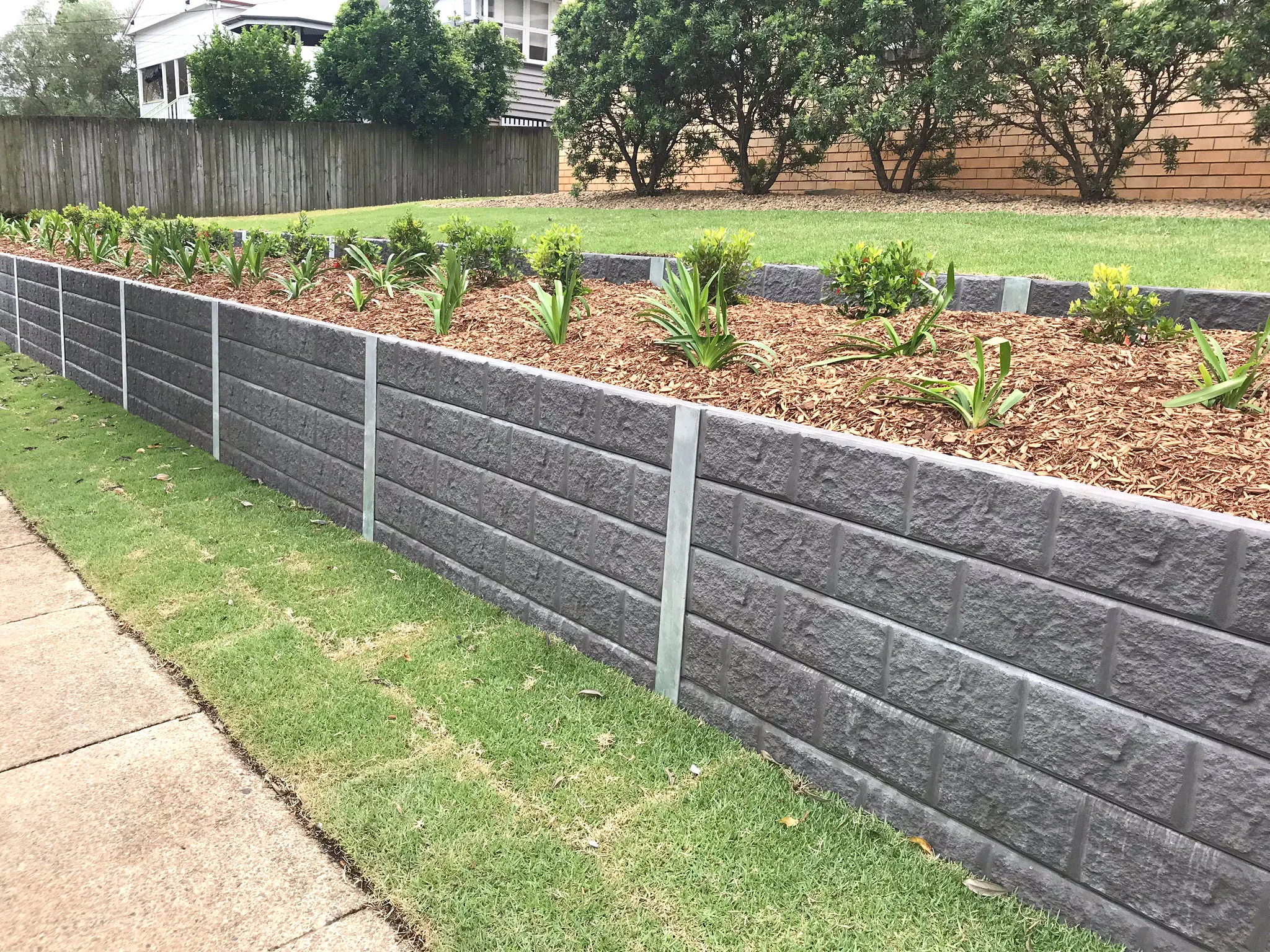 Rendered concrete retaining wall with garden bed on top