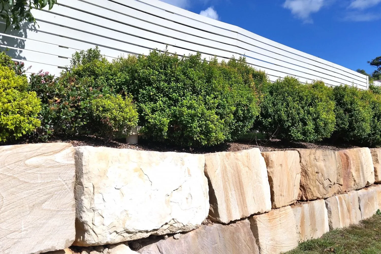 Sandstone retaining wall blocks with hedge planting